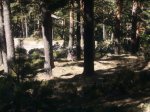 Foto27.JPG