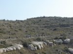 DSC00247.JPG