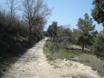 DSC00255.JPG