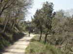 DSC00256.JPG