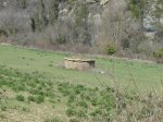 DSC00265.JPG