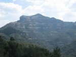 IMG_2401.JPG