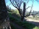 DSCN0901.JPG