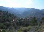 DSCN0909.JPG