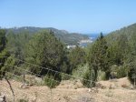 MTB2008-04-06StAntoni-StMiquel-Bullit3.0-12.jpg