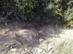 05042008116.jpg