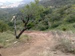 05042008140.jpg