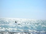 DSCN3775.jpg