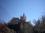 IMG_0001.jpg