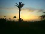 domingo 6-4-08 001.jpg
