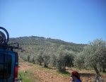 DSCN0007.jpg