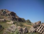 DSCN0008.jpg