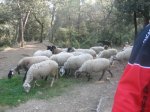IMG_2153.JPG