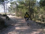 PICT0035 (Small).JPG