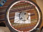 dt ex 1740 end tras.jpg