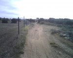 IMG00262.jpg