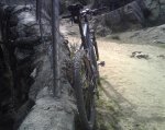 IMG00266.jpg