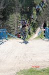 IMG_3536.JPG