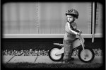 26bicicletero.JPG