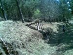 05042008.jpg