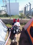 100_3768.JPG