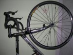 DSCN1338.jpg