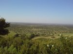 DSC014960011.JPG