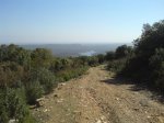 DSC014980013.JPG