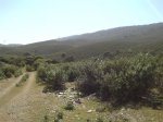 DSC015050020.JPG