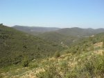 DSC015150030.JPG