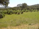 DSC015220037.JPG