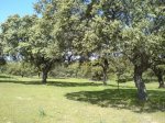 DSC015260040.JPG