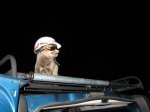 m_IMG_2440.jpg
