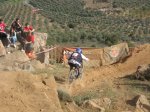 m_IMG_2467.jpg