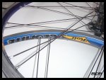 DSC03361.jpg