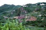 IMG_5639.jpg