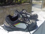 08042008243.jpg