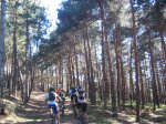 CERCEDILLA-SEGOVIA I-V 246.jpg