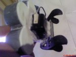 DSC00209.JPG
