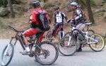 08042008(003)x.jpg