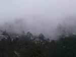 Foto3.JPG