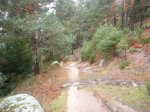 Foto5.JPG