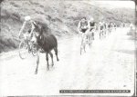 51burro.jpg
