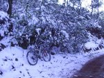 enero-06-nieve en tristan 008.jpg