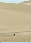 63desierto.JPG