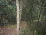 IMG_2124.JPG