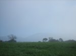 IMG_2137.JPG