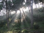 IMG_0852.jpg