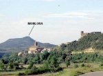 monlora 2.jpg