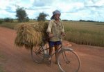 bici.jpg